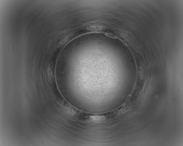 X0000062670371200512281745