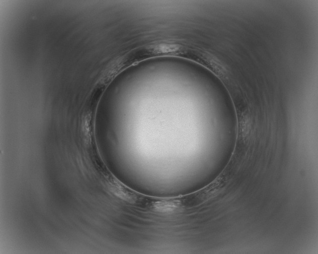 X0000062670373200512281745