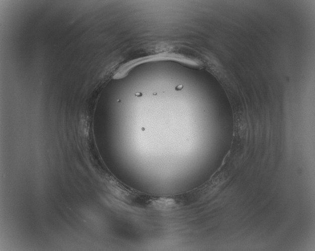 X0000062670374200512281745