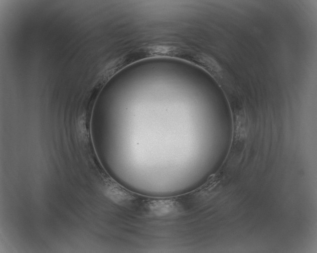 X0000062670377200512281745