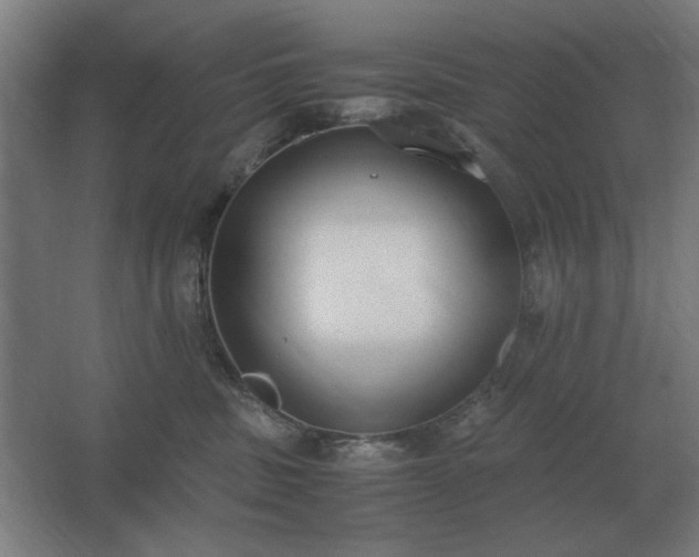 X0000062670379200512281745