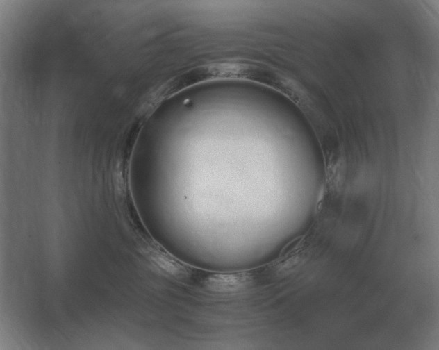 X0000062670381200512281745