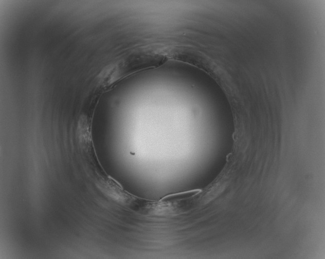 X0000062670384200512281746