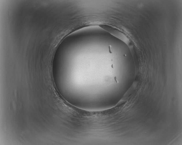 X0000062670385200512281744