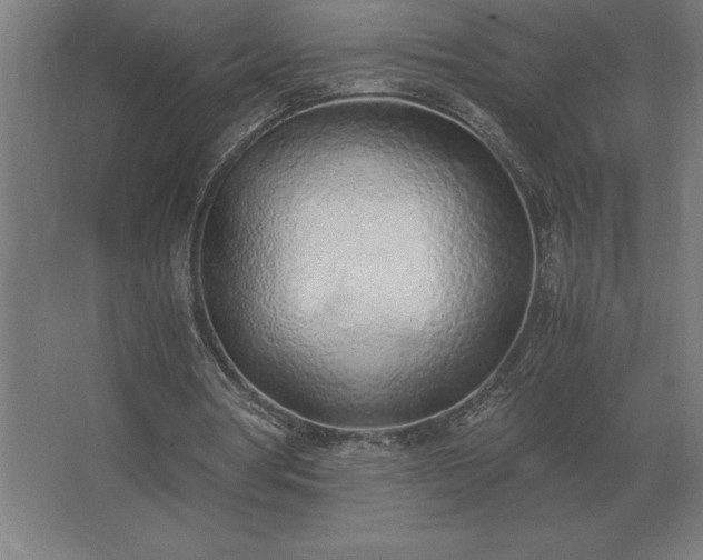 X0000062670386200512281744