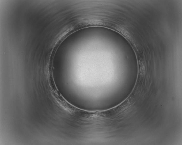 X0000062670390200512281744