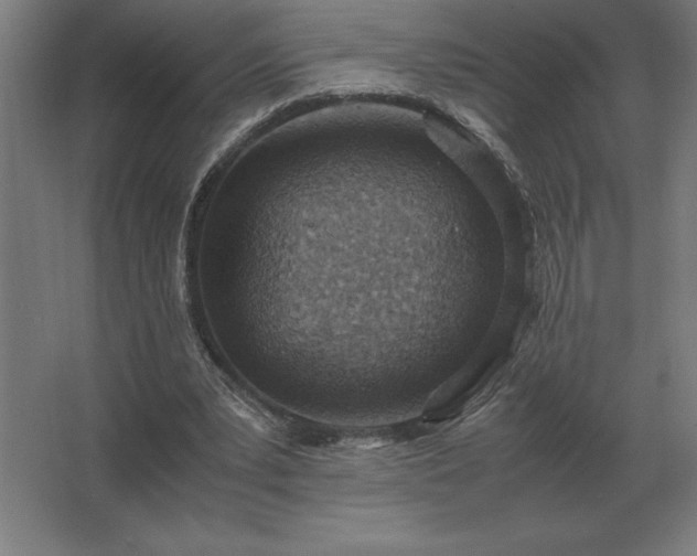 X0000062670391200512281744