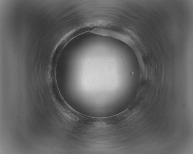 X0000062670392200512281744