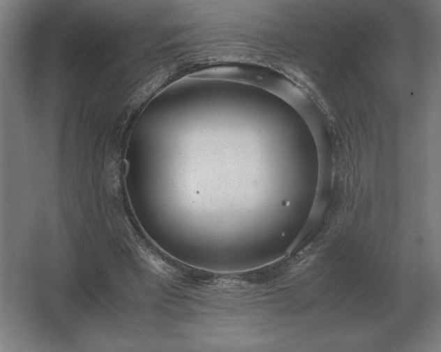 X0000062670393200512281744