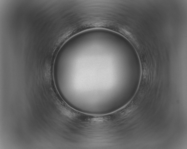 X0000062670394200512281744