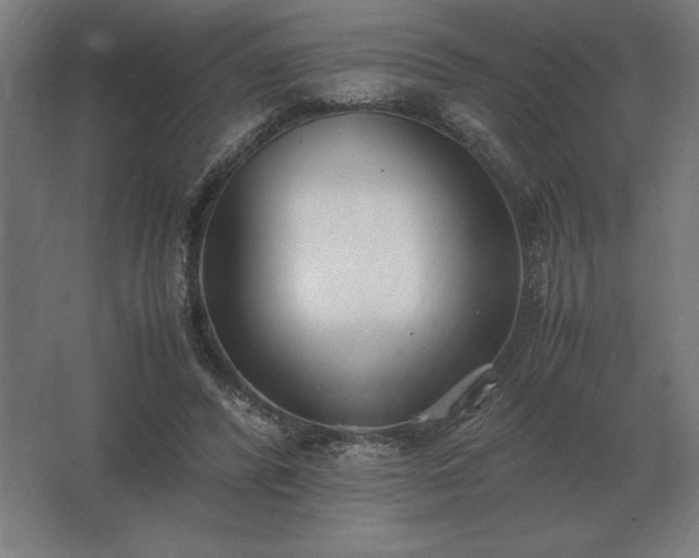 X0000062670400200512281744