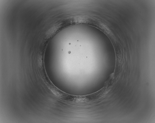 X0000062670401200512281744