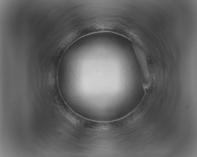 X0000062670402200512281744