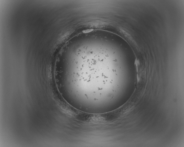 X0000062670403200512281744