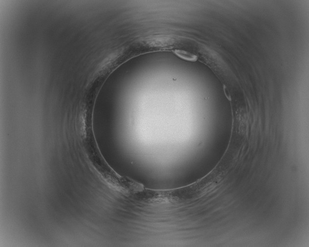 X0000062670404200512281744