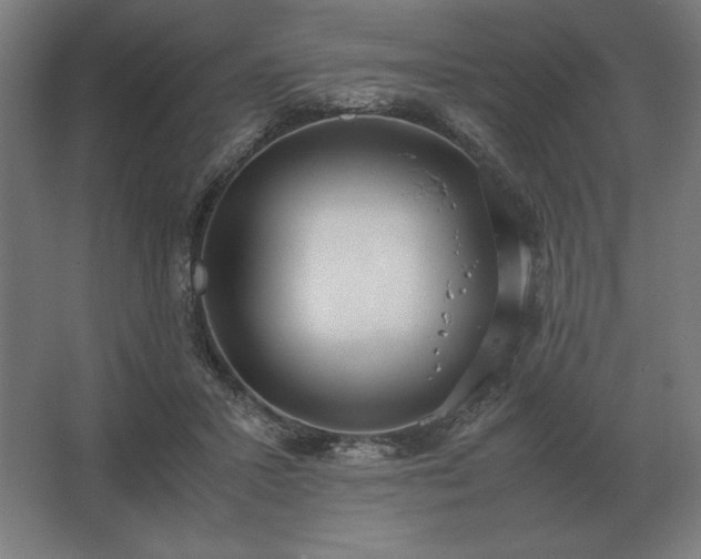 X0000062670407200512281744