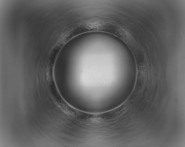 X0000062670408200512281744