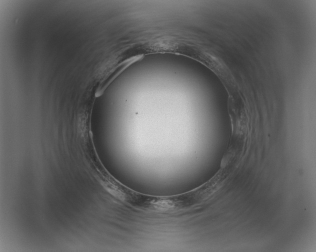 X0000062670409200512281744