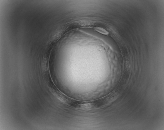 X0000062670411200512281744