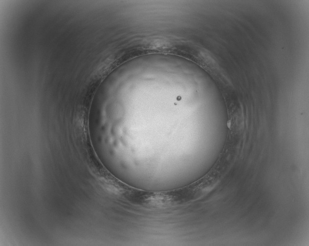 X0000062670415200512281744