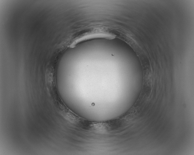 X0000062670417200512281744