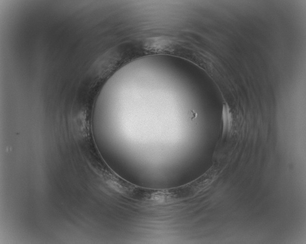 X0000062670420200512281744