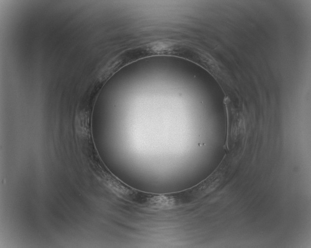 X0000062670421200512281744