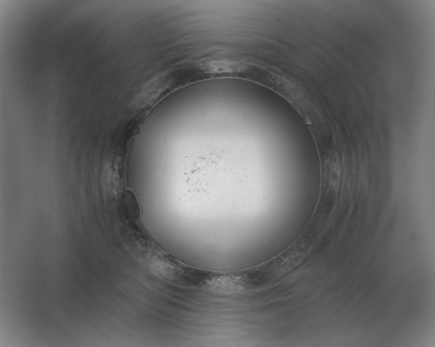 X0000062670422200512281744