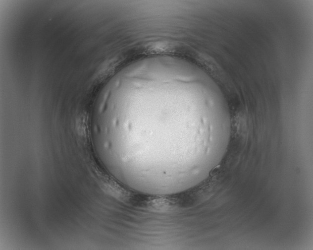 X0000062670423200512281744