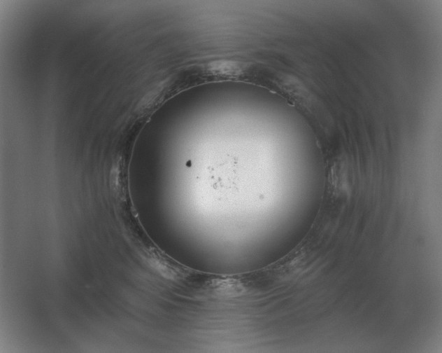 X0000062670424200512281744