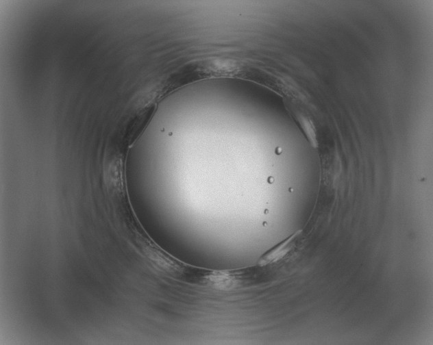 X0000062670425200512281744