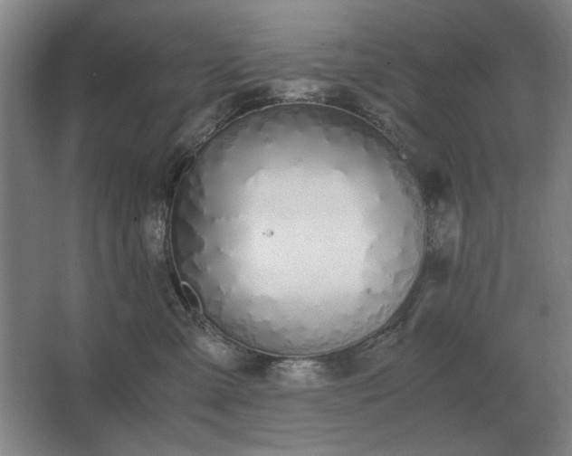 X0000062670427200512281744