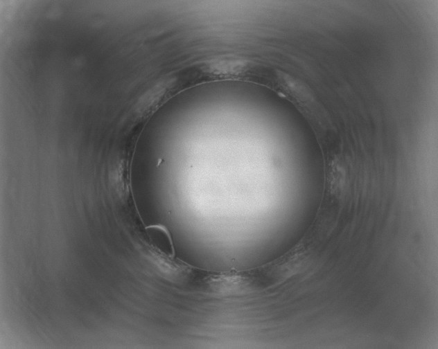 X0000062670428200512281744