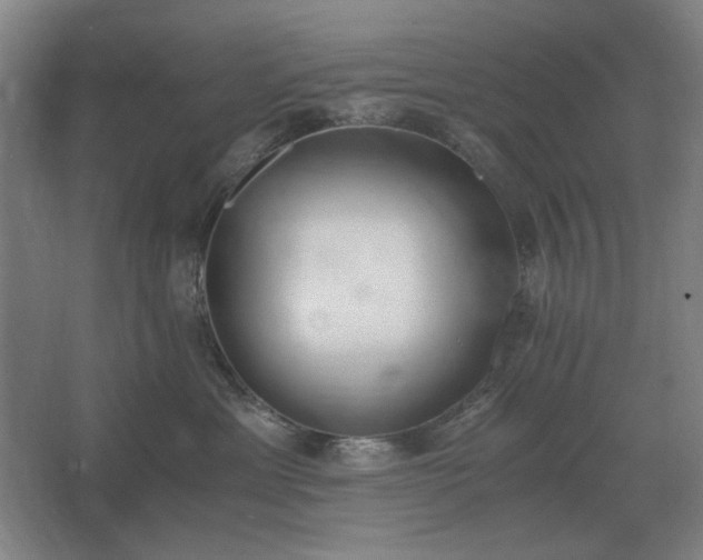 X0000062670429200512281744