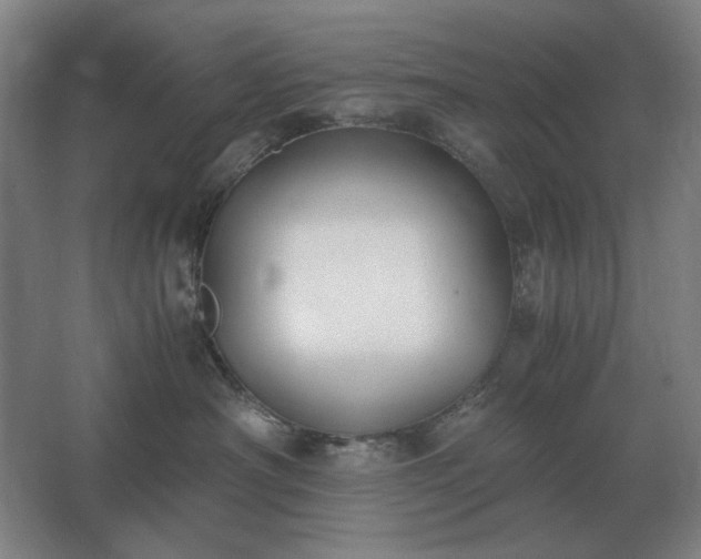 X0000062670430200512281744