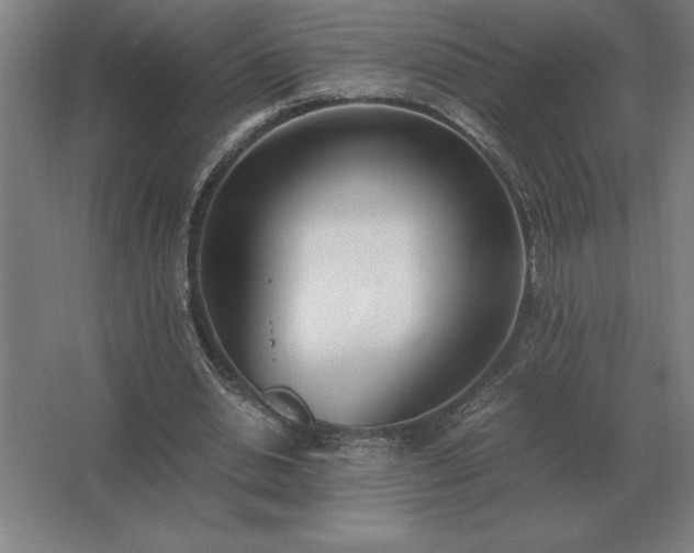 X0000062670438200512281743