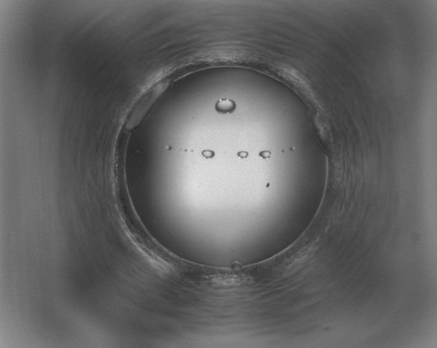 X0000062670439200512281743