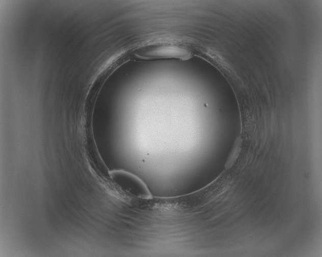 X0000062670440200512281743