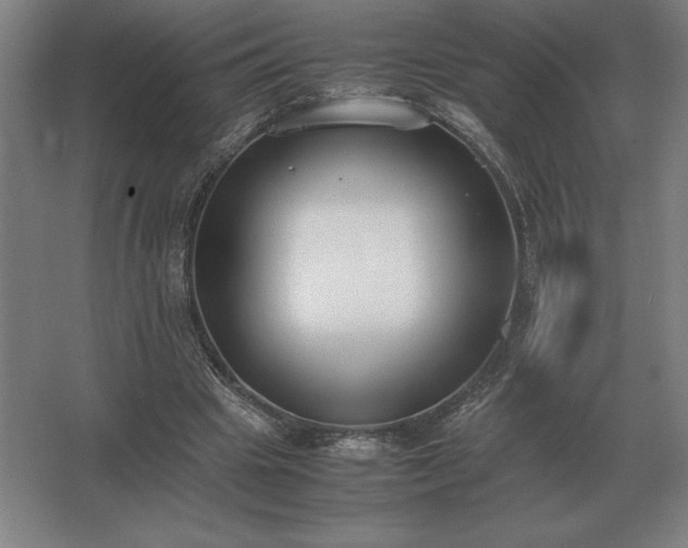 X0000062670441200512281743