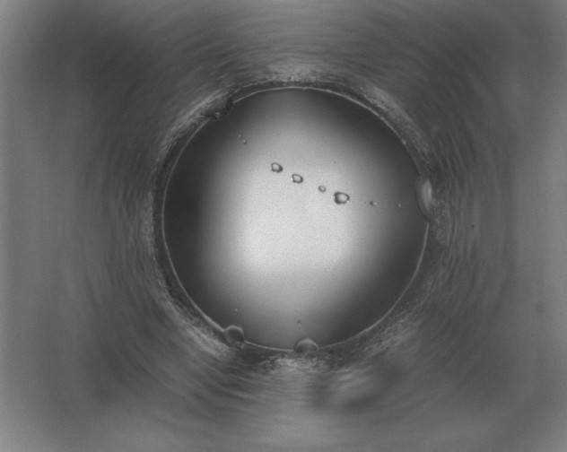 X0000062670442200512281743