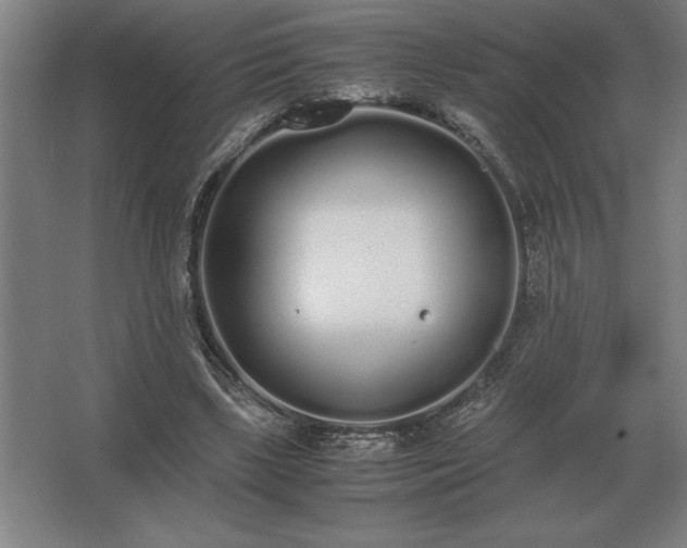 X0000062670443200512281743