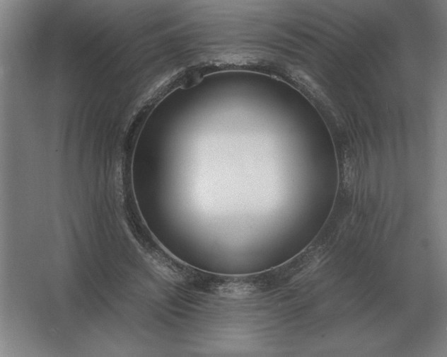 X0000062670444200512281743