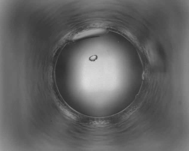 X0000062670445200512281743