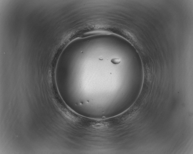 X0000062670447200512281743