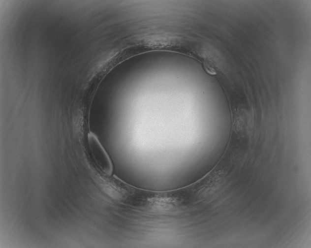 X0000062670448200512281743