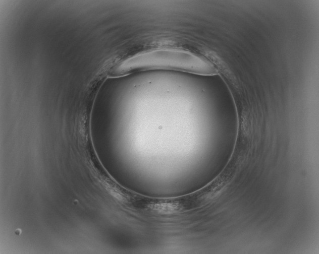 X0000062670449200512281743