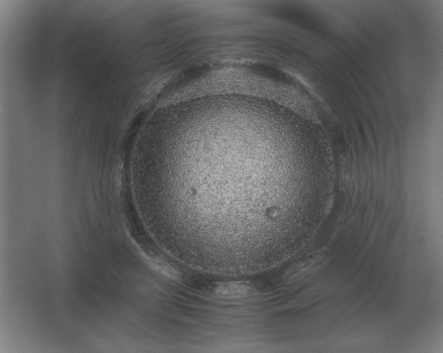 X0000062670451200512281743