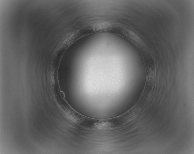 X0000062670452200512281743