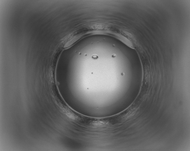 X0000062670453200512281743