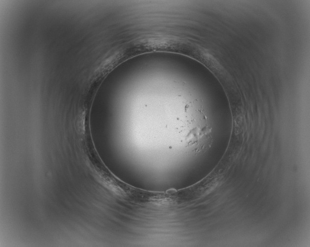 X0000062670454200512281743